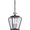 Quoizel Province Outdoor Hanging Lantern PRV1909K - alternate 2